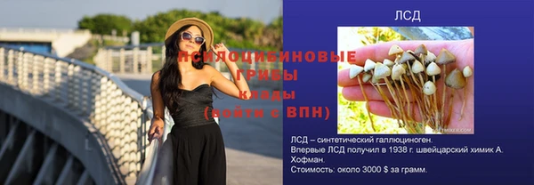 эйфоретик Балахна