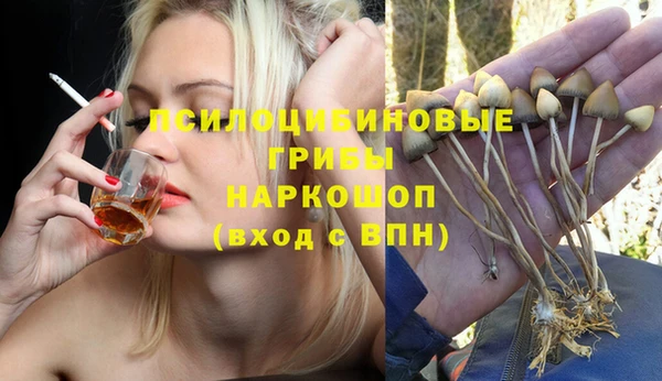 эйфоретик Балахна